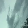Hailey 🤪 - @hailey.starling.17 - TikTok