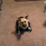 Hailey starnes - @haileystarnes - Instagram