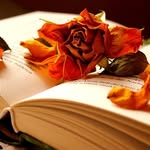 Haley Starnes - @book_worm4711 - Instagram