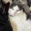hailey - @haileysteiner - TikTok