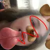 haileystelly - @hailey...stelly - TikTok