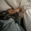 hailey stephens - @hailey.stephens_ - TikTok