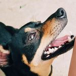 hailey stephens - @haileystephens99 - Instagram