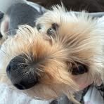 Hailey Stephens - Facebook