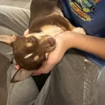 Hailee Stephenson - Facebook