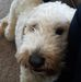 Hailey Stephenson - Facebook