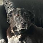 Hailey Stern - @hailey_stern17 - Instagram