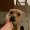 Hailey Strange - @hailey_strange - TikTok