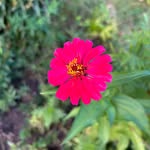 Hailey Stumpf - @stumpf.hailey26 - Instagram
