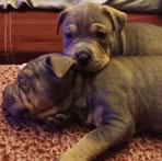 Hailey Sue - Facebook