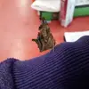 Hailey Summers - @hailey.summers8 - TikTok