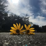 Hailey Townsend - @photography_hailey10 - Instagram