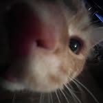 Hailey Townsend - @hailey_townsend8 - Instagram
