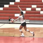 Hailey - @haileytripp4 - Instagram