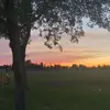 Hailey Tripp - @haileytripp0 - TikTok