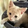 Varner_hailey06 - @varner_hailey06 - TikTok