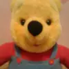 vosshailey28 - @vosshailey28 - TikTok