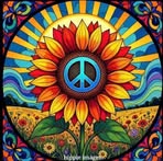 Hailey Wade Miller - Facebook