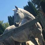 Hailey Rose Waller - @hailey.waller.372 - Instagram