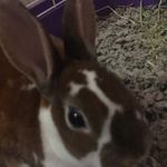 Hailey Waller - @haileywaller797 - Instagram