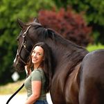 haley wendt - @haleywendt_ - Instagram