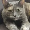 haileywengert - @haileywengert - TikTok