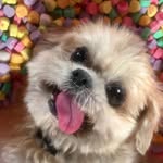 Hailey Westphal - @westphal5090 - Instagram
