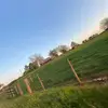 Hailey - @hailey.whitaker7 - TikTok