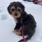 Hailey Whiting - Facebook