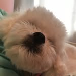 Hailey wilkinson - @snowflake12347 - Instagram