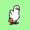 user5996362546363 - @haileywills56 - TikTok