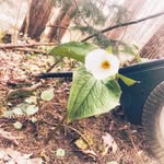 Hailey Workman - @haileys._.photography05 - Instagram