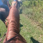 Hailey Workman - @haileyworkman5 - Instagram