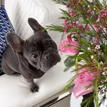 Hailey Yim - @hailey_yim - Instagram