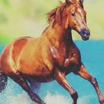 Hailey york - @hailey_bailey_679 - Instagram
