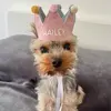 yorkiehailey - @yorkie.hailey - TikTok