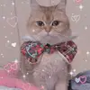 Hailun Wang - @hailun.wang - TikTok