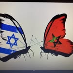 Haim ariel benjamin - @haimarielbenjamin - Instagram