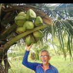 Organic Farmer Haim Katzir - @farmer.haimkatzir - Instagram