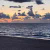 Haim Tal - @haim.tal5 - TikTok