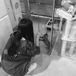 Annie Wang - @haimeng_wang - Instagram