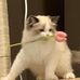 Haiyang Sun - Facebook