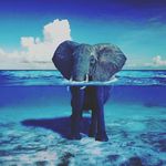 hajarchikhi - @hajarchikhi - Instagram