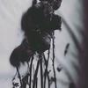 Hakim Thomas - @hakim.thomas - TikTok