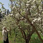 🌸Hala🌸 - @hala.mes - Instagram