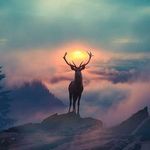 Hal Barker - @hal_barker - Instagram