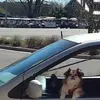 Hal Barker - @hal.barker3 - TikTok