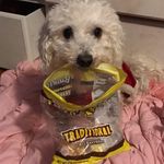 Korhal Bartlett Dennis - @denniskorhalbartlett - Instagram