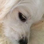 Korhal Bartlett Dennis - @korhalbartlettdennis - Instagram