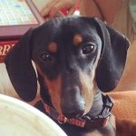 Baxley Hall - @baxley_hall - Instagram